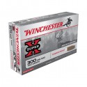 20 CARTOUCHES WINCHESTER 300 WIN MAG 180GR PP