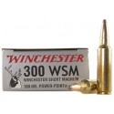20 CARTOUCHES WINCHESTER 300 WSM 180GR PP