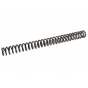 2 RESSORTS POUR CARABINE GAMO Delta