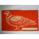 100 CIBLES PIGEON