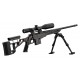 Pack HOWA 1500 châssis TSP-X 308 Win