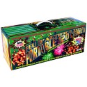 FEU D'ARTIFICE PORTABLE 120 SERIE II