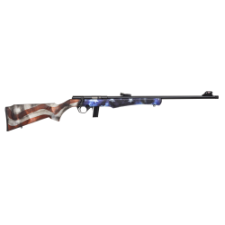 CARABINE ROSSI 8122 USA 22LR