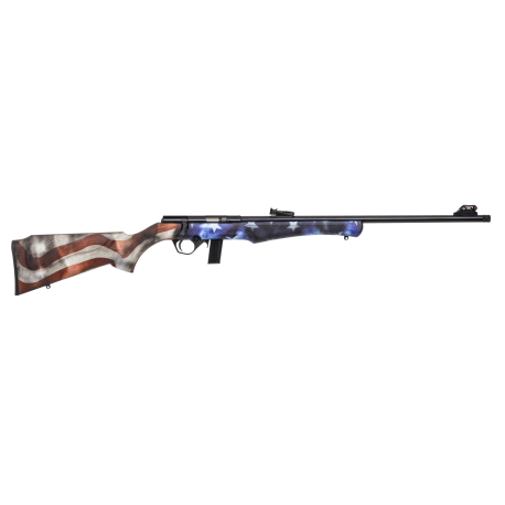CARABINE ROSSI 8122 USA 22LR