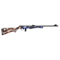 CARABINE ROSSI 8122 USA 22LR