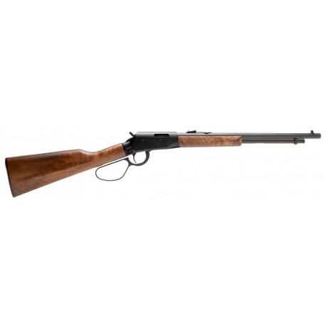 CARABINE SAVAGE REVEL CLASSIC 22LR