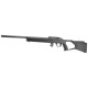 CARABINE REGENT RBA 1 CAL 22LR 10 COUPS 20''
