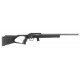 CARABINE REGENT RBA 1 CAL 22LR 10 COUPS 20''