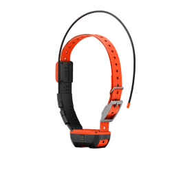 Collier De Suivi Garmin T20F