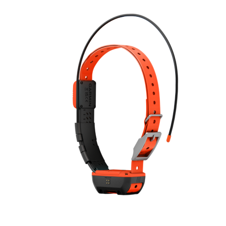 Collier De Suivi Garmin T20F