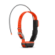 Collier De Suivi Garmin T20F